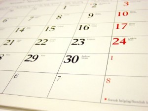 Stephanie's calendar